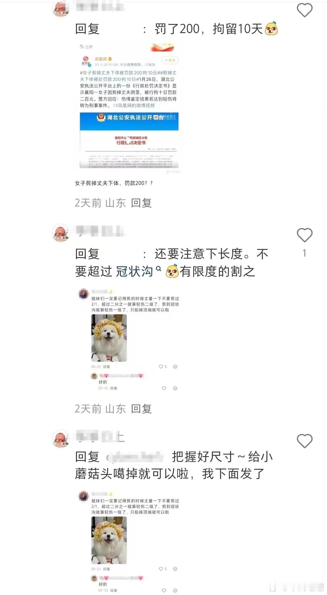 小仙女在线教授阉割男人，这种非正常人类，一定要关进精神病院​​​