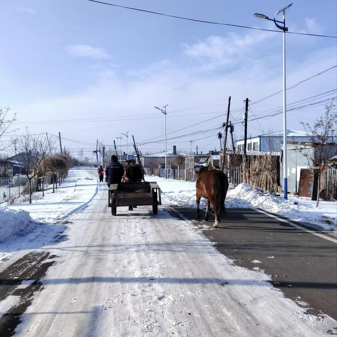 今天在群里看到的，真没想到一个山东远方亲戚当初落户在东北是这样的情况，每个月几乎
