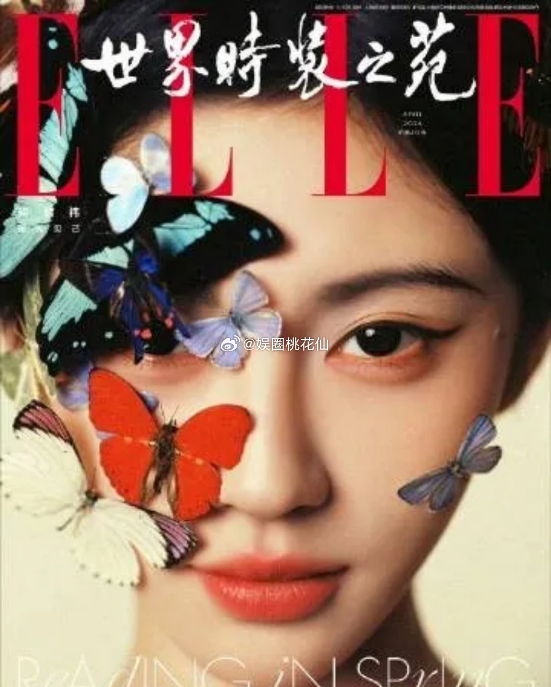 内娱动态速报｜杂志、时尚、状态全盘点鞠婧祎ELLE四月刊封面，鞠姐二登五大杂志，