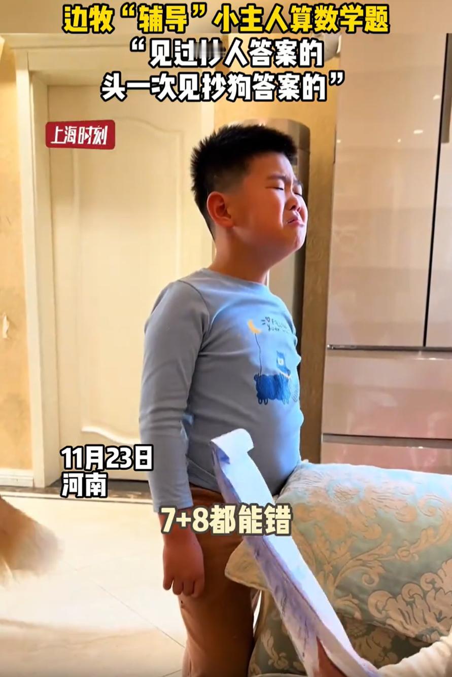 “真不愧是边牧！”河南，一名小男孩作业错的太多，直接被姐姐训哭了，可奇怪的是，当