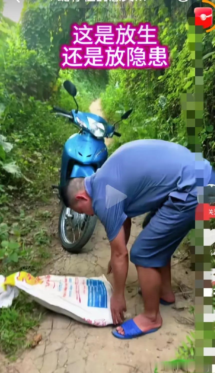 放生毒蛇，是护生还是杀生？贵州。男子骑着摩托车，来到山坡上，从车上拿下装着五