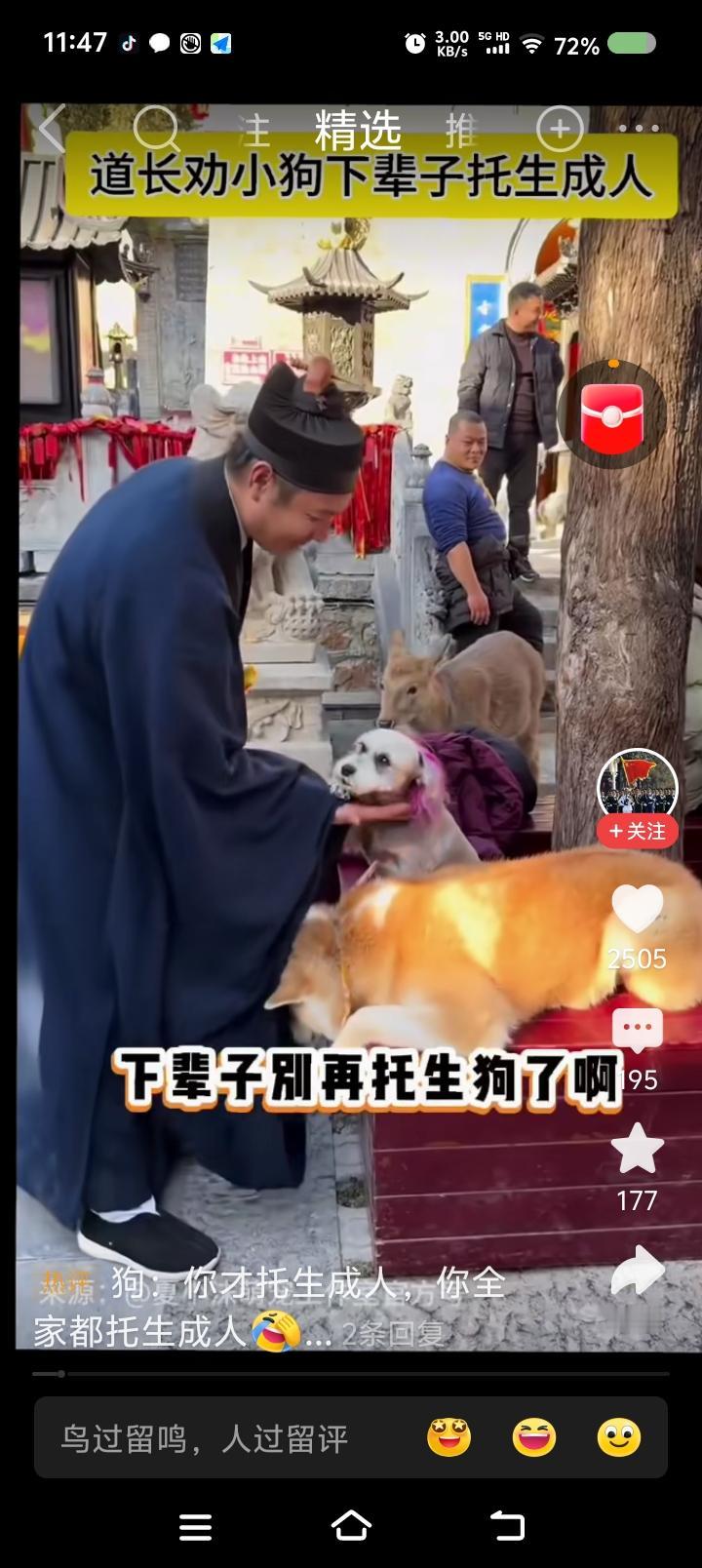 道长，你厚道么？——网上视频：道长抚摸着狗，对它说：“记住，下辈子不要托生成狗