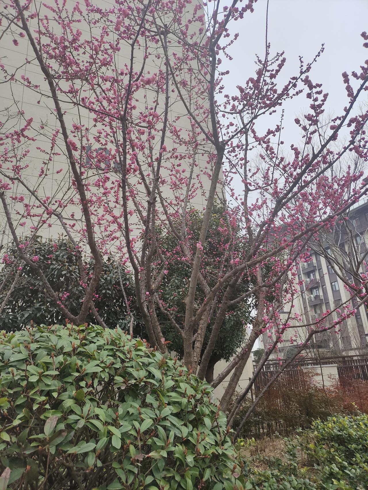 我没啥不良习惯，就是比较懒散，好逸恶劳，没钱的时候我努力上班奋斗找男友想结婚，过