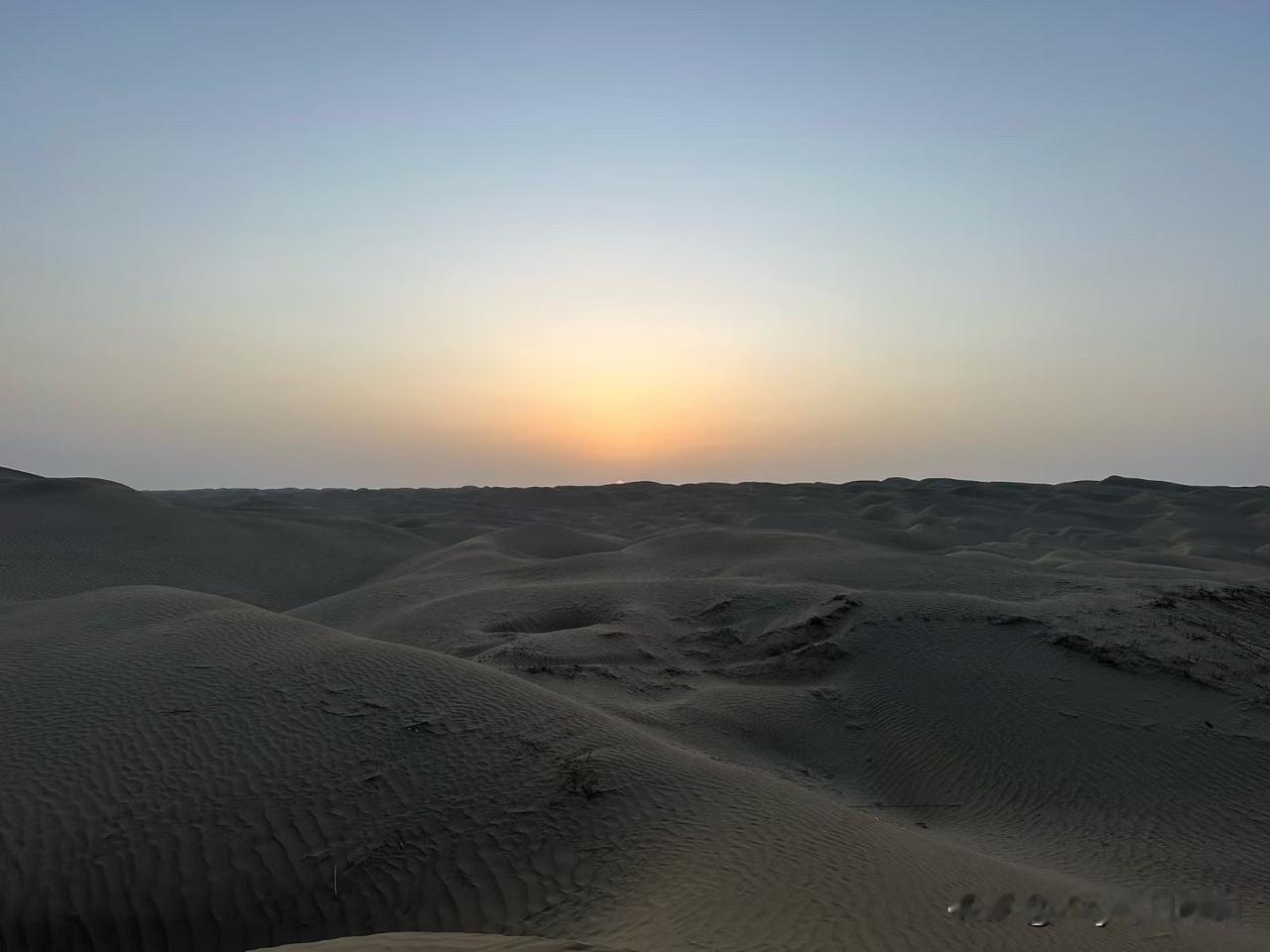 马年从一场策马奔腾的沙漠公路开启