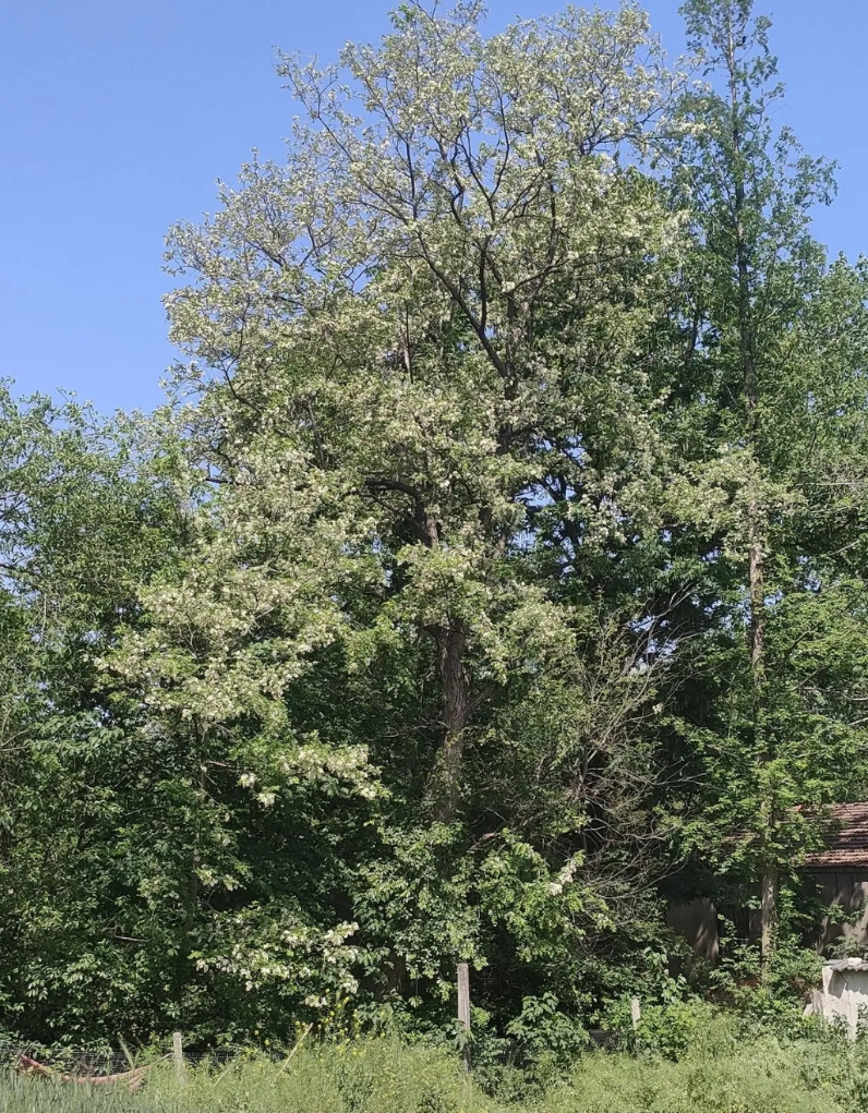 学生用水枪对老师飙水一事。在网上迅速发酵。学校就此事召开了一次全体员工会议。