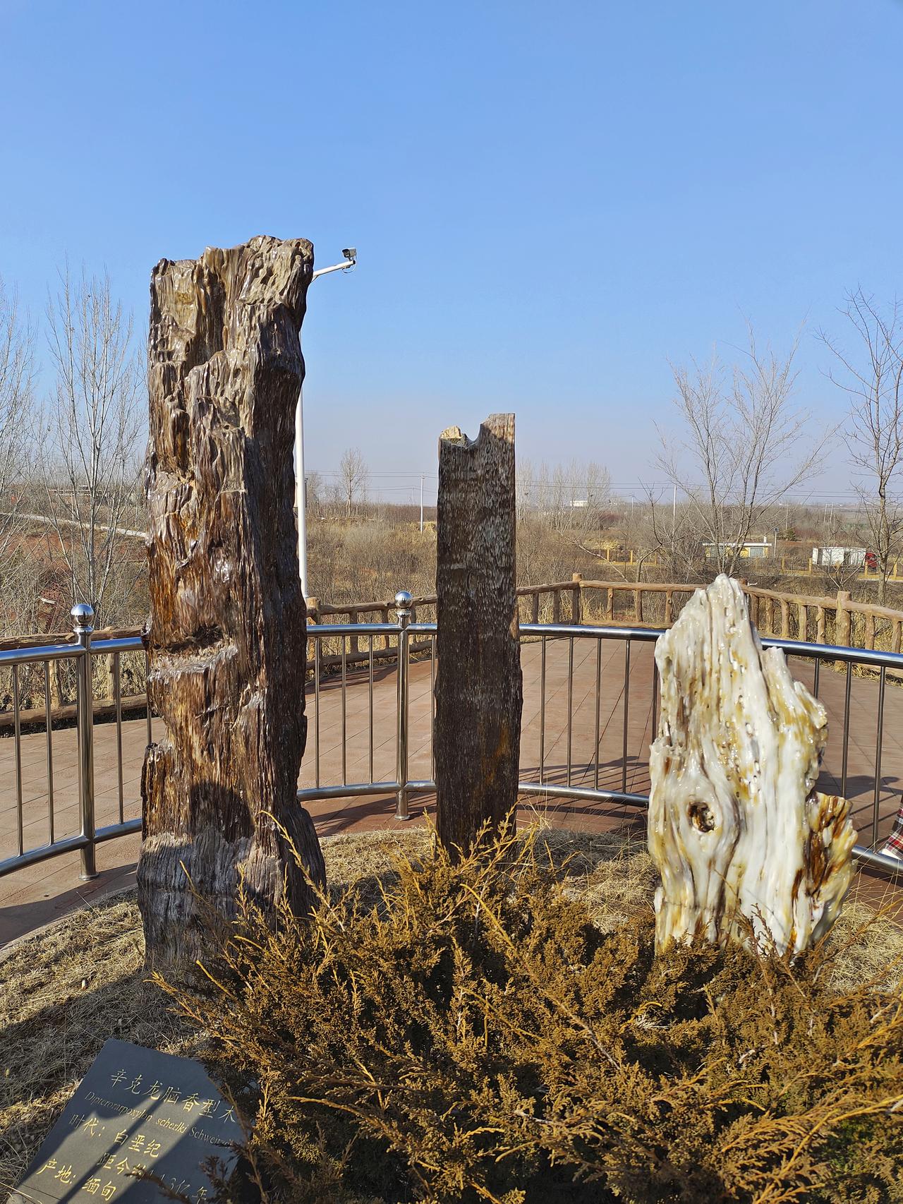 现在孩子的普遍现象，中5条家长真该警醒了！1. 三十岁上下，不婚不育，男生养猫