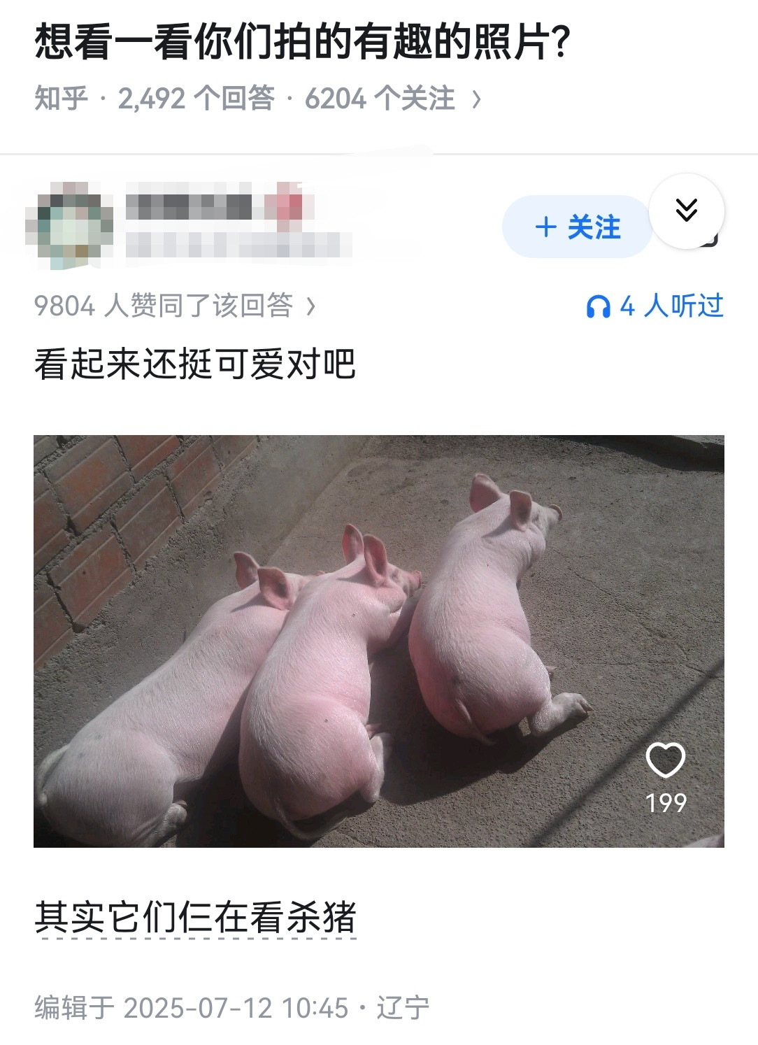 想看一看你们拍的有趣的照片?