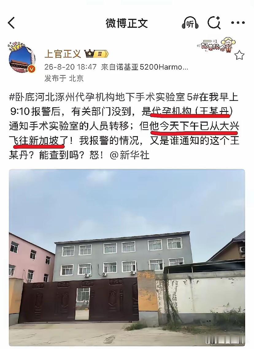 上官正义上午才报警，下午河北代孕的负责人就逃往了新加坡！究竟是谁在通风报信？​