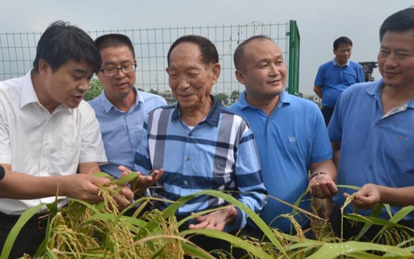 “应该立即死刑！”央视新闻在4月14日曝光了一起惊天大案：我国杂交水稻之父袁隆平