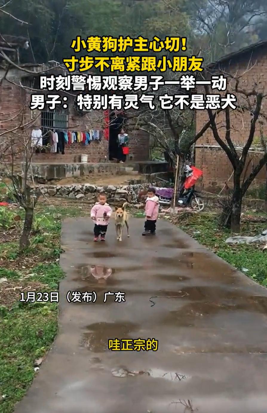 太有灵性了！广东，一男子到村子里去见朋友，看到朋友家两个小孩很可爱，就想着互动一
