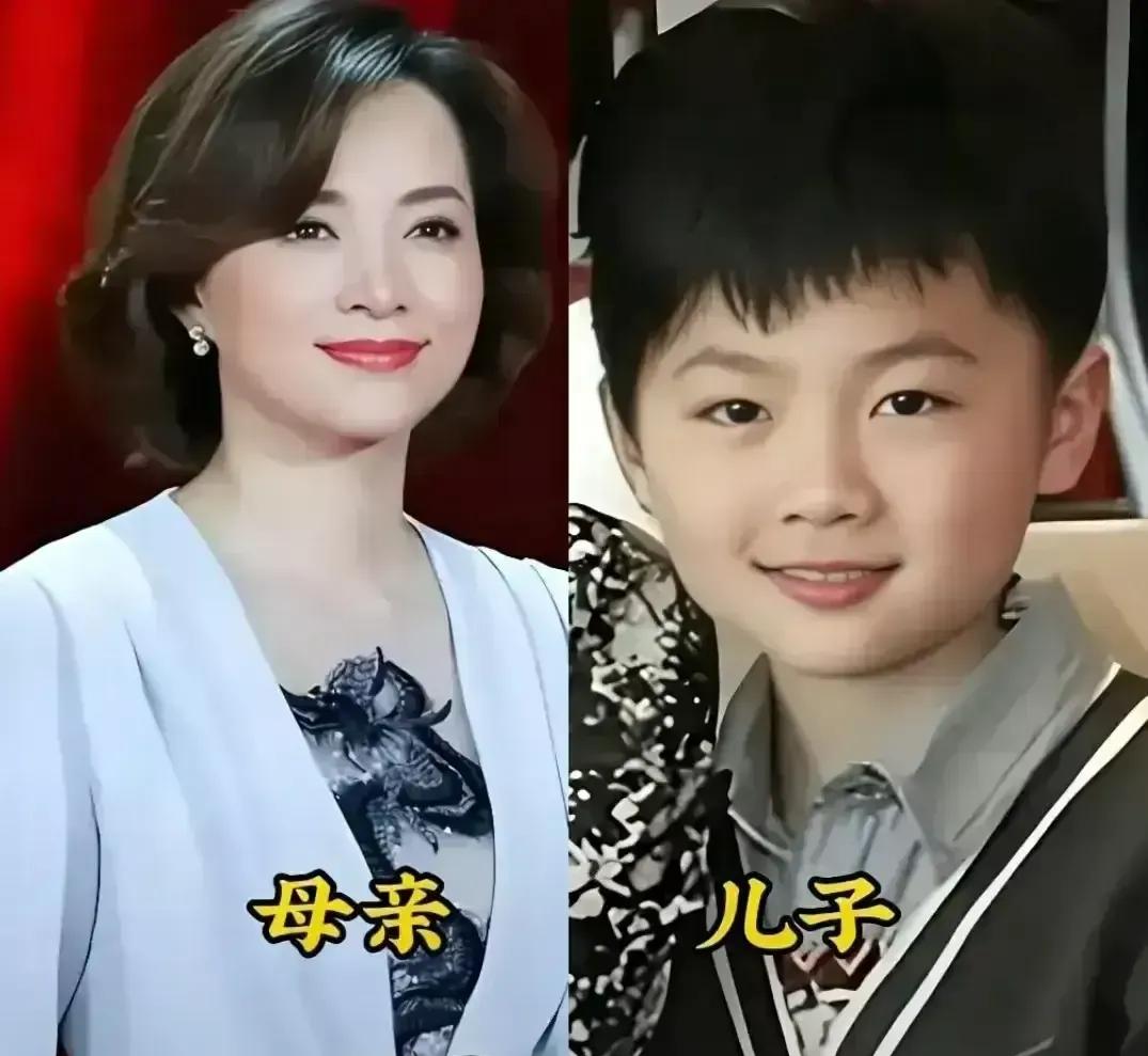 朱迅与儿子、董卿与儿子、白岩松与儿子、周涛与女儿、鲁健与女儿、王宁与女儿、水均益