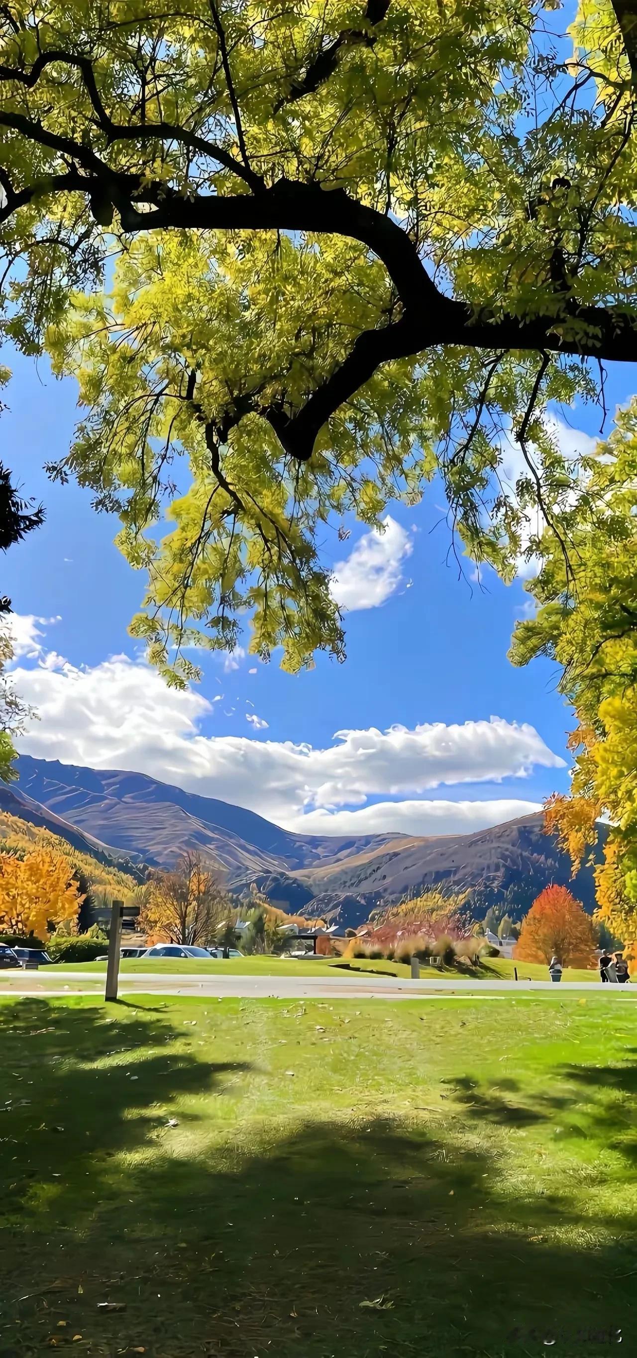 一段非常扎心的话：“人老了，哪怕你和老伴感情冷淡，关系不那么亲密，甚至不睡一个