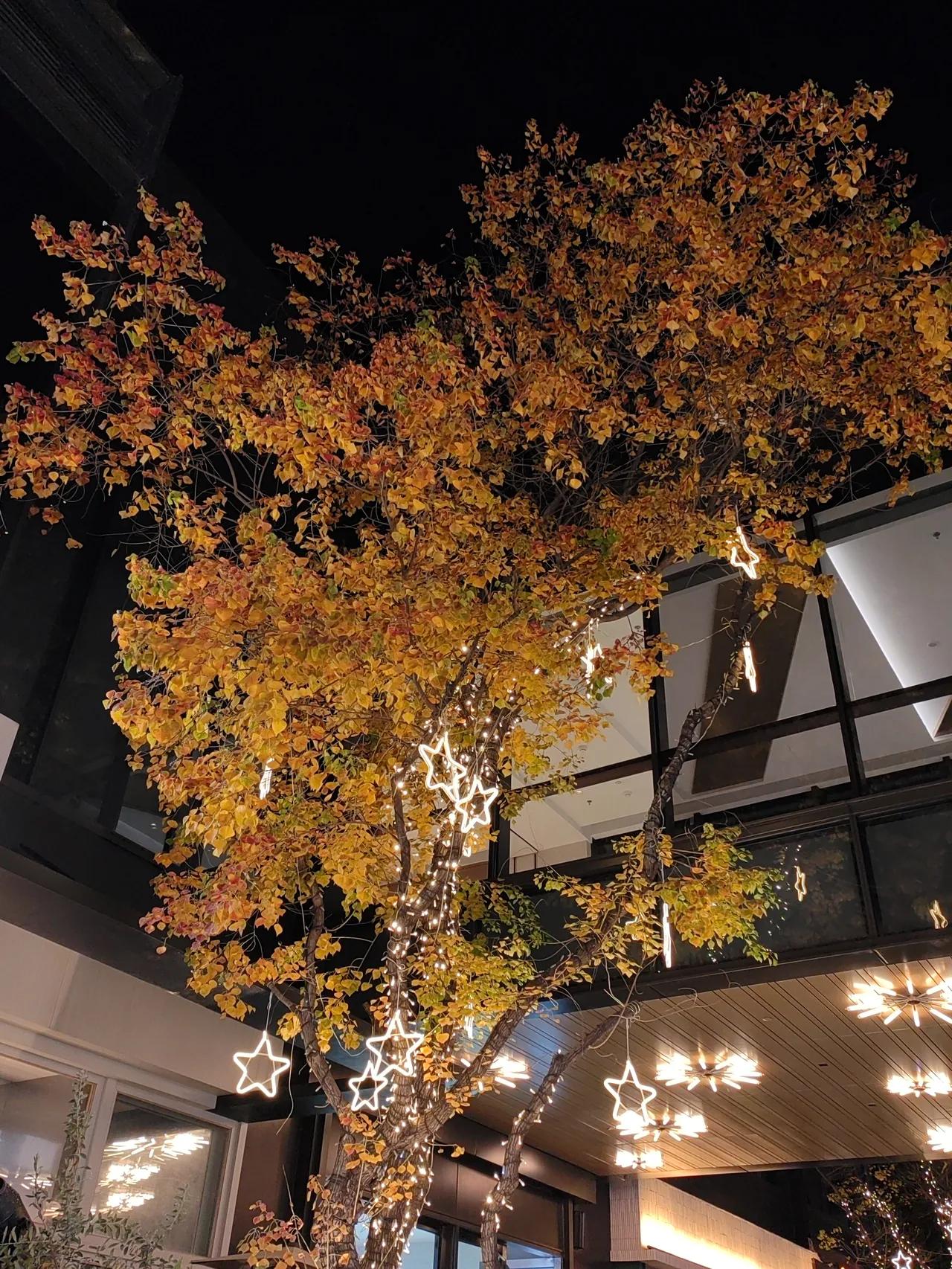 有一个词“洗房”，是什么意思？就是男方家早早准备好了婚房，婚后，女方各种挑毛病