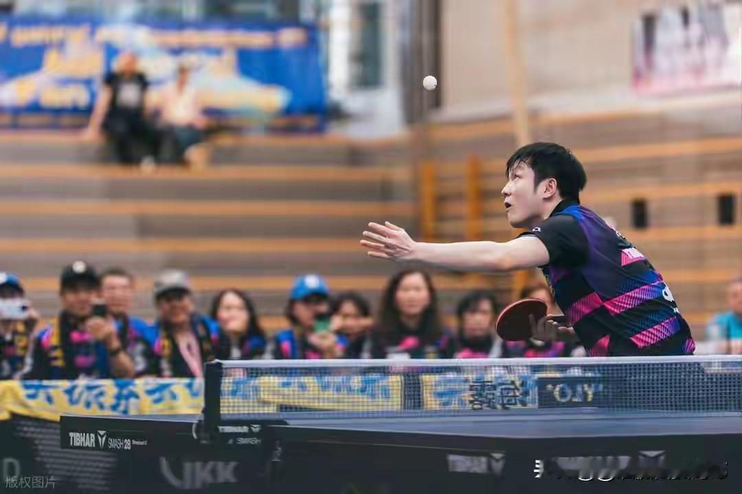 樊振东是无辜的，都是粉丝捣鼓的。说了一句“输赢都不行”，被粉丝解读是“受到