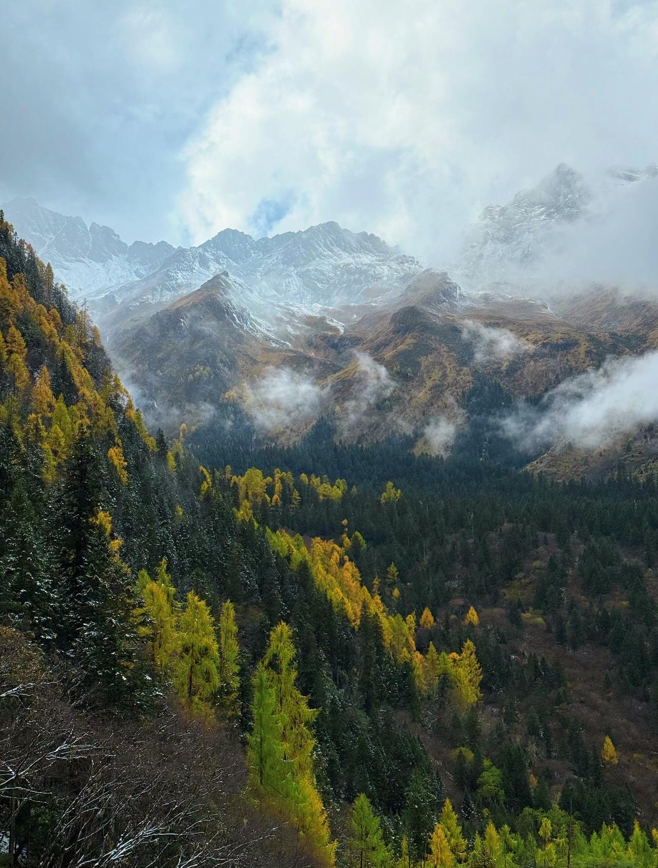川西徒步封神地！霸王山虞美措美到失语10月末的虞美措太绝了！雪山、镜面湖、金黄