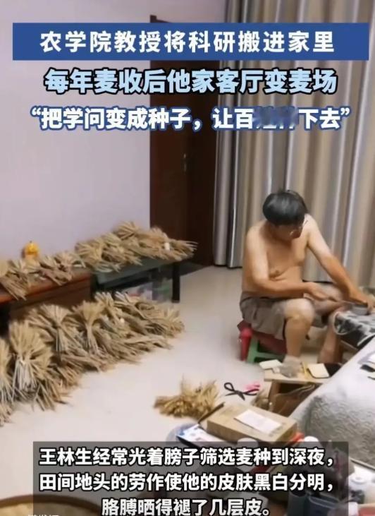 “你敢相信这个男人是农学教授？”2024年，河南洛阳，妻子发视频说丈夫光着膀子在