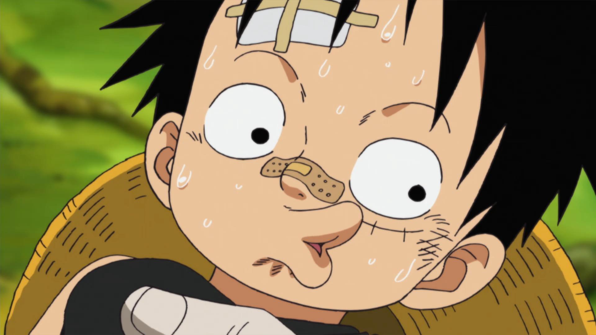 海贼王海贼王从小就无法做到面不改色的撒谎