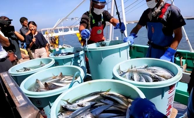 日本的反击来了：中国敢不买日本水产？马上关了在中国的事务所8月31日，日本