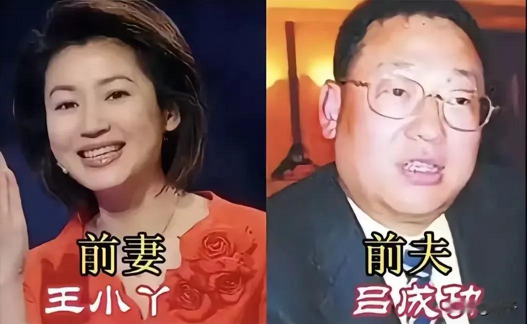 王小丫的前夫。刘芳的前夫。何晴的前夫。刘莉莉的前夫。倪萍的前夫。恬妞的
