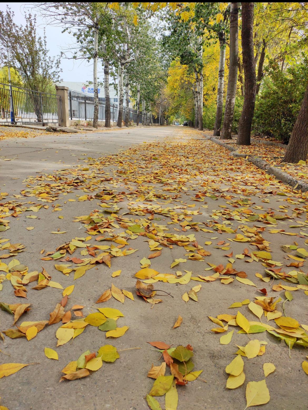 温柔作别2025，不管经历了什么，都已成为过去式。欣然奔赴2026，即使前途未