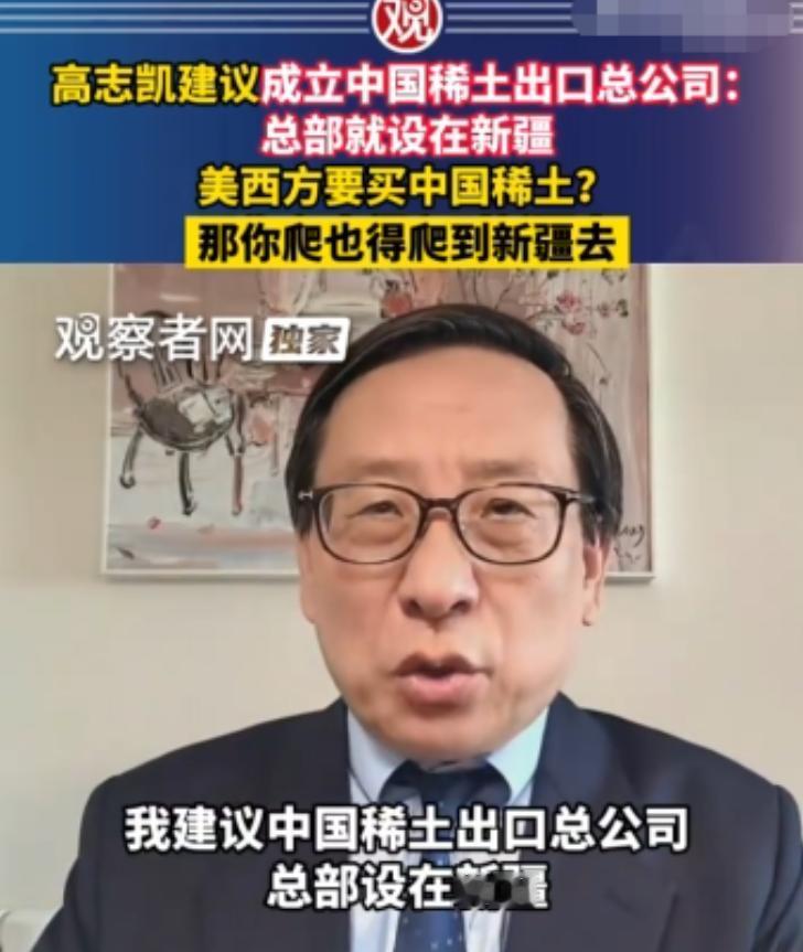 高志凯教授真是神了，他给中国稀土出谋划策，想出了一个连外国人都觉得狡猾毒辣的“高