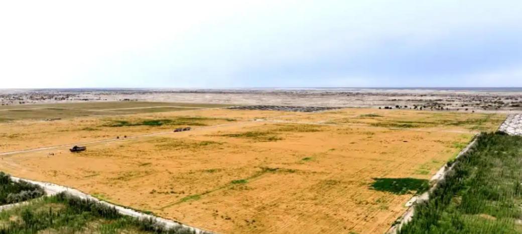 万万没想到，中国工程闹了个大“乌龙”。原本以为在沙漠种小麦产量会很低，不料一亩地