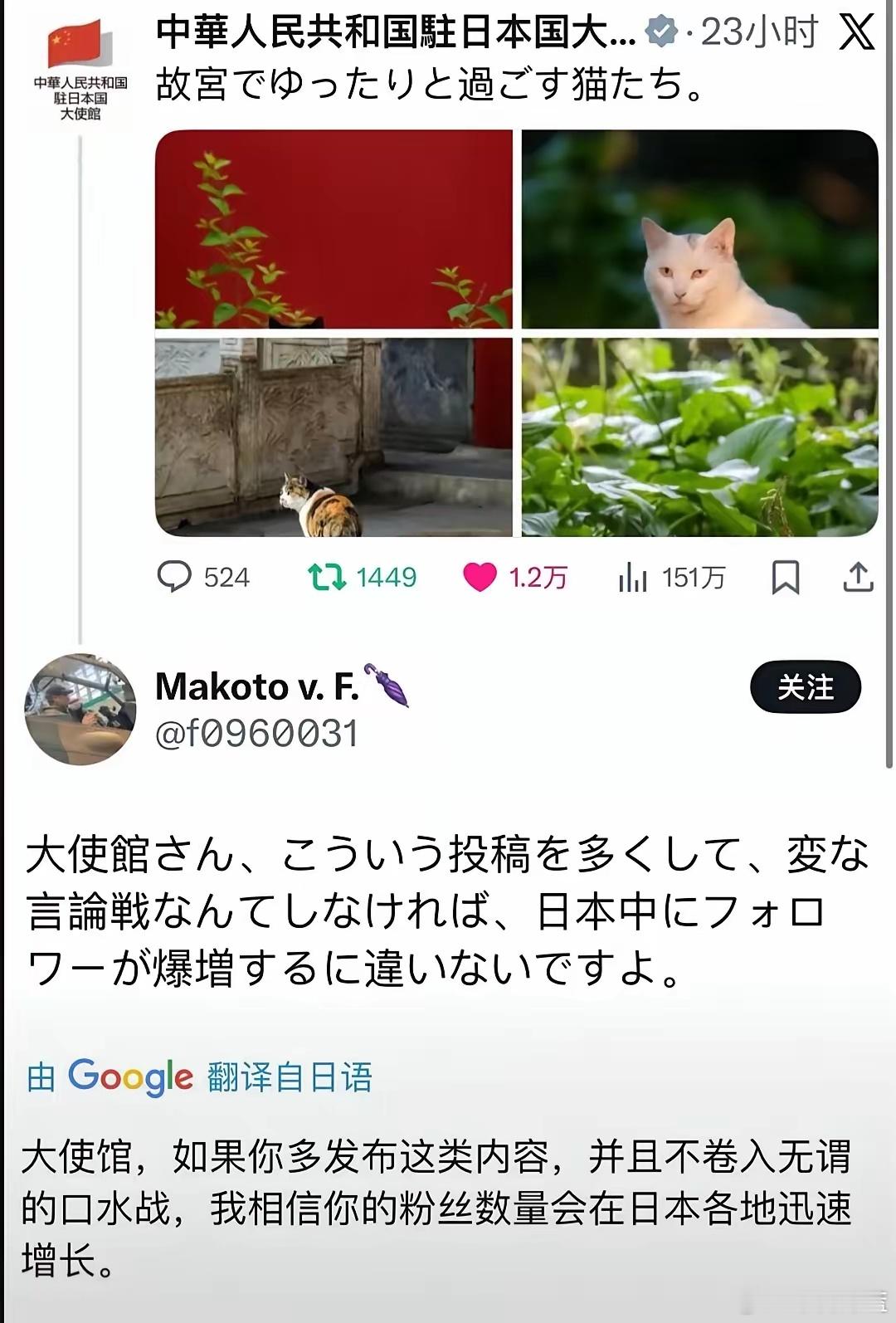 中国驻日本大使馆发文：宫殿里悠闲度过的猫咪们。日本网友在贴文下面留言留言写道：大