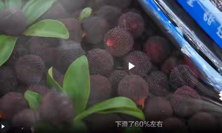 “一人感冒，全村吃药！”浙江杭州，一名经营杨梅的商贩无奈诉苦，受“杨梅浸泡防腐剂