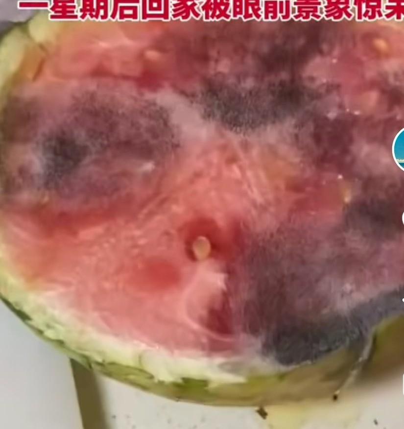 女子因琐事跟老公吵架，一气之下回娘家待了一周，一星期后回家被眼前景象惊呆了，半