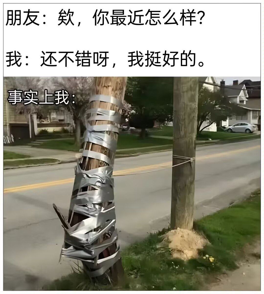 还活着呢