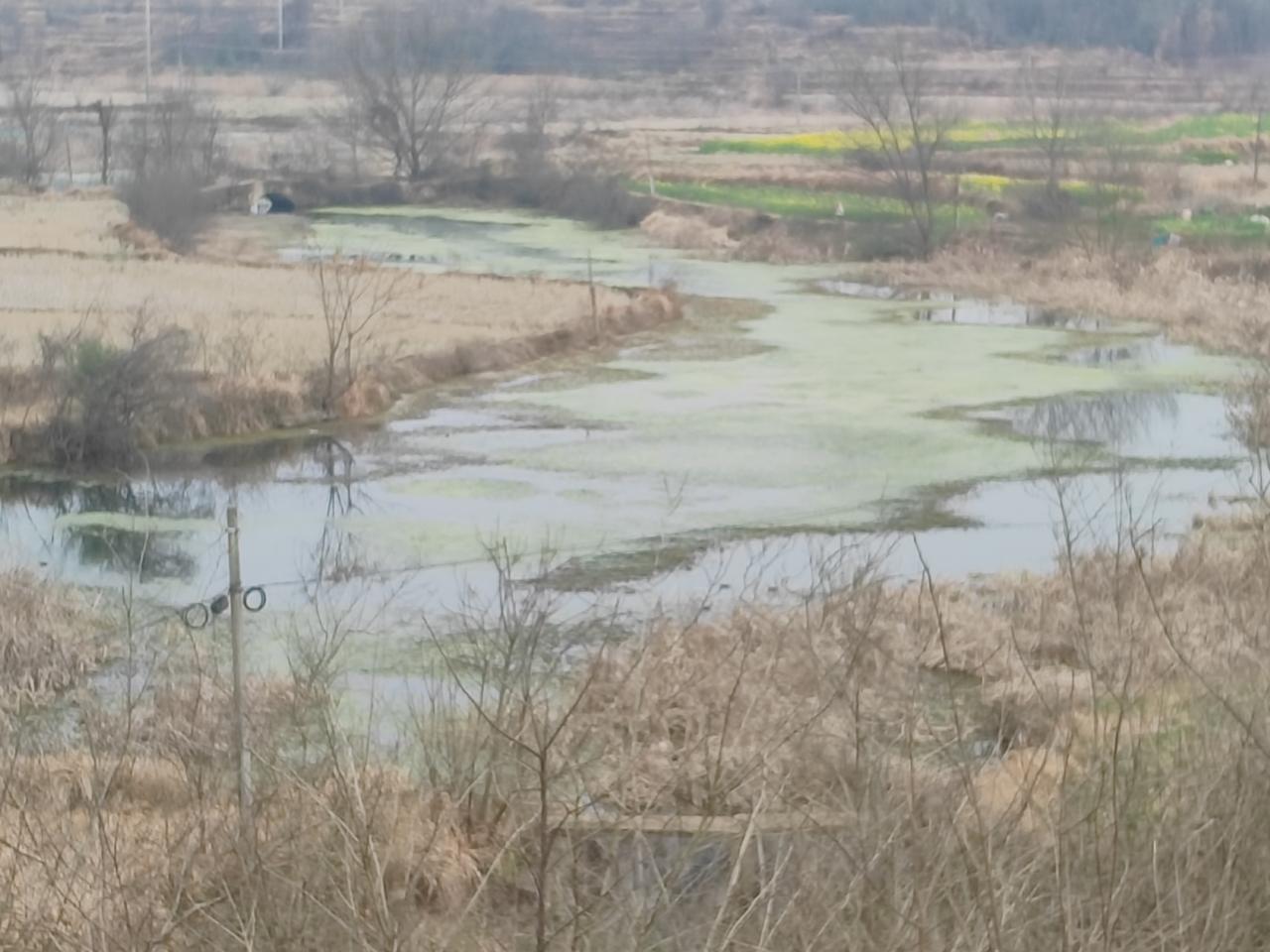 乡村旧时印象40年前村里的情景，你是否记得？前天，回老家，站在小山俯视村庄，