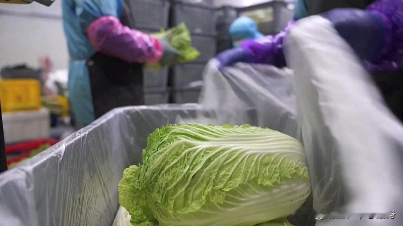 看到“甲醛白菜”的消息，真的让人又气愤，又无奈。甲醛不是今年才出现的，所谓“
