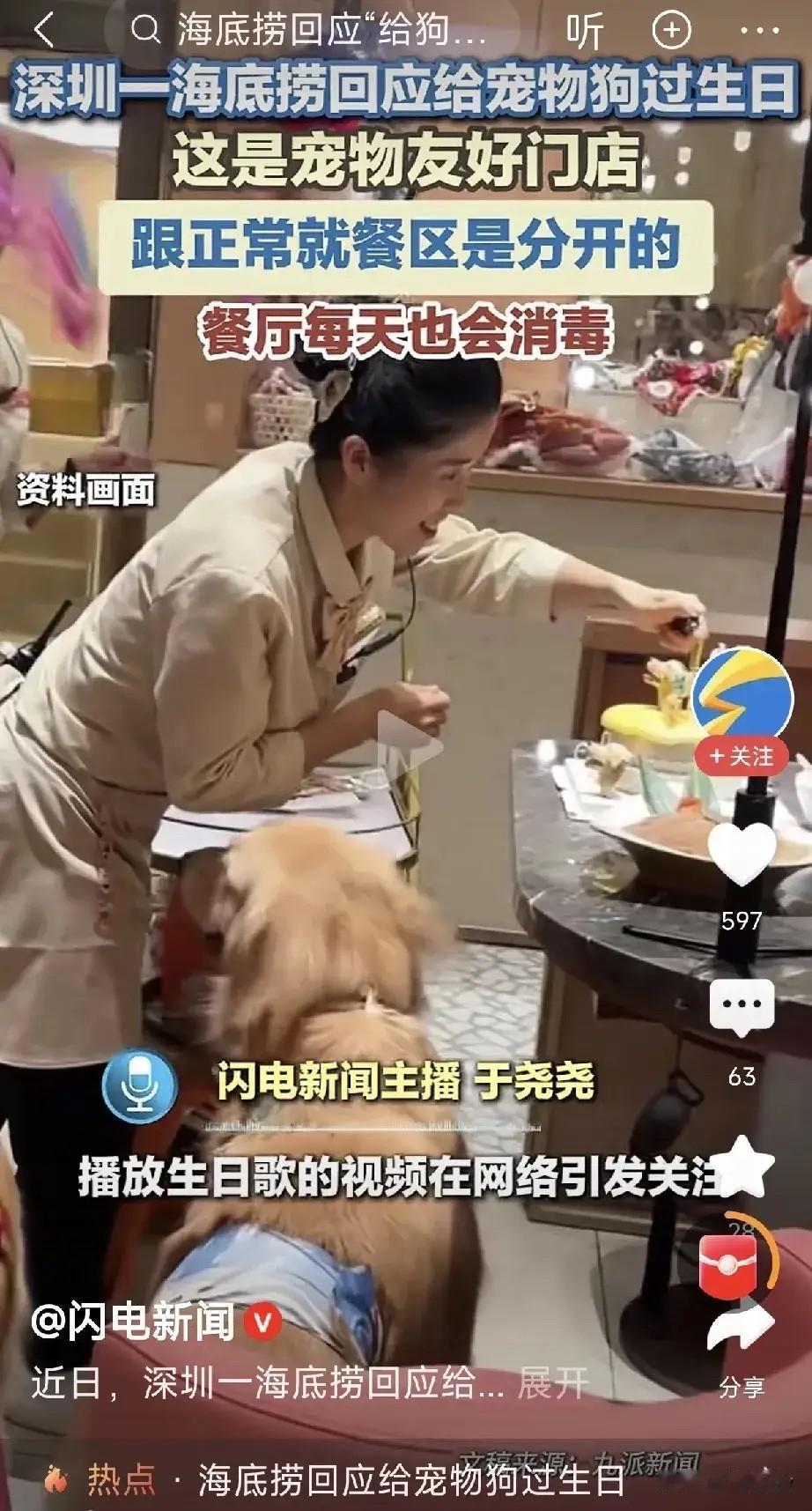 狗狗都到餐厅去过生日啦！不得不佩服海底捞真是有头脑！不光做人的生意，现在连狗的