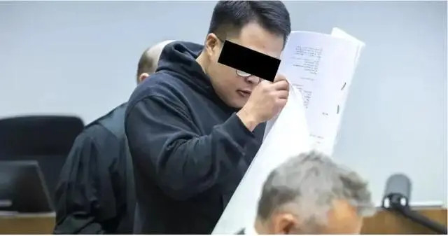 【德国华人迷奸案细节披露：作案者均为高学历精英，主犯住所查出17万个儿童色情文件