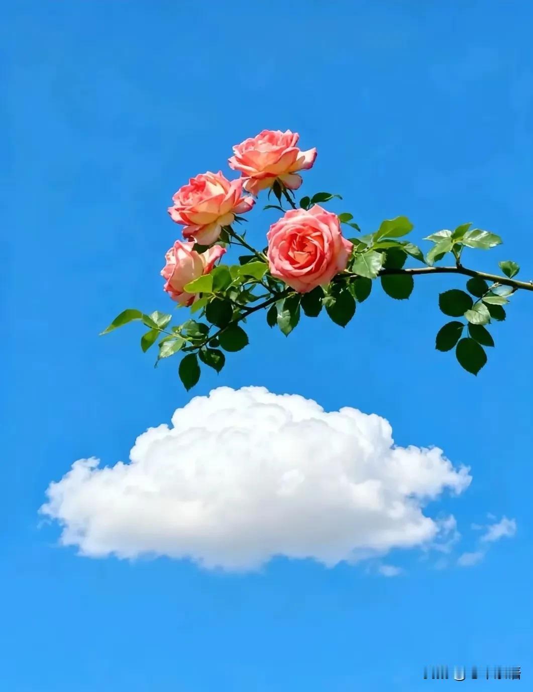 醍醐灌顶的话:“想要活得久一点，过得快活一点，第一重要的就是你不能有道德洁癖。
