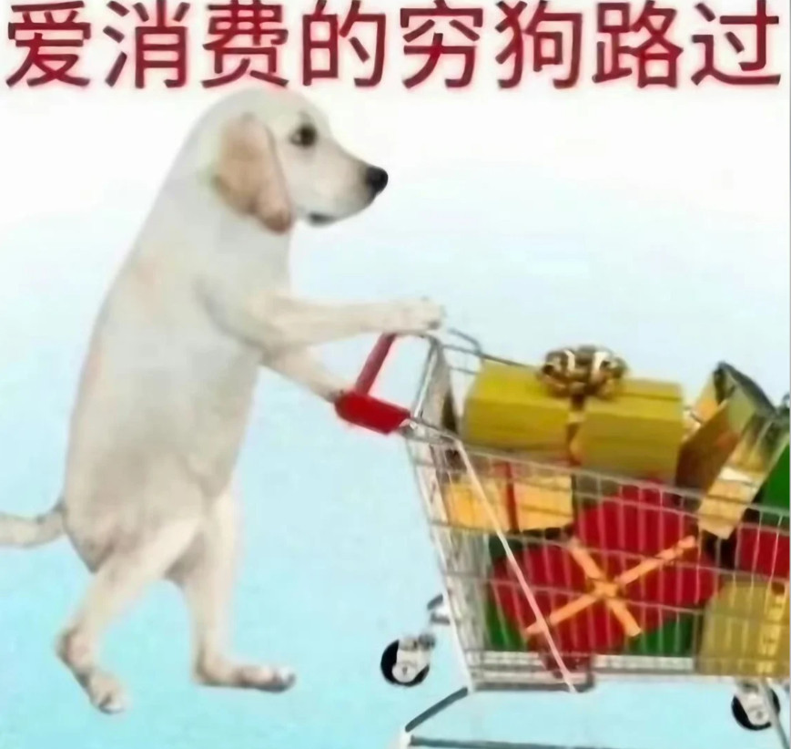 我不敢花1000块，但是敢花100个9.9。