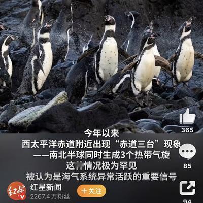这一条新闻，真的看得我后背发凉。多国气象机构最新研判显示，一场可能达到140年来