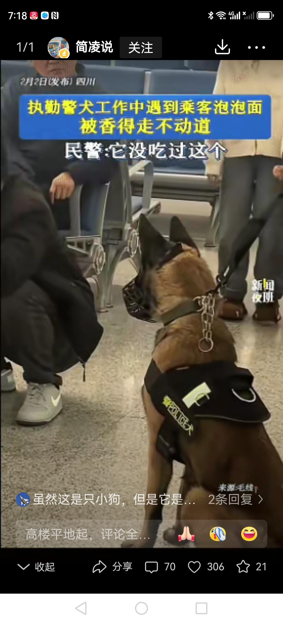 警犬执勤被泡面香整不会了！民警拉都拉不回来，围观群众笑到直不起腰：这谁扛得住啊