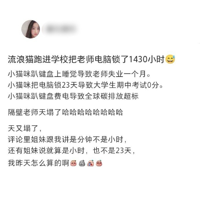 流浪猫进学校把电脑锁了1430分钟​​​