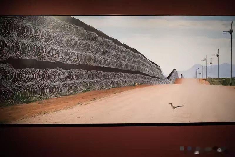 建议移民局，学习借鉴一下美国的签证制度，实行面签，对于外国人来中国，查验来回机票