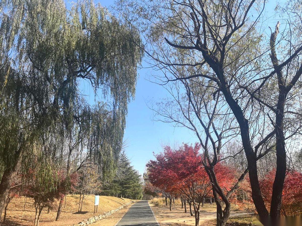 最可怕的婚姻是什么？不是吵架，不是没钱。是两个人躺在一张床上，中间隔着一个太平