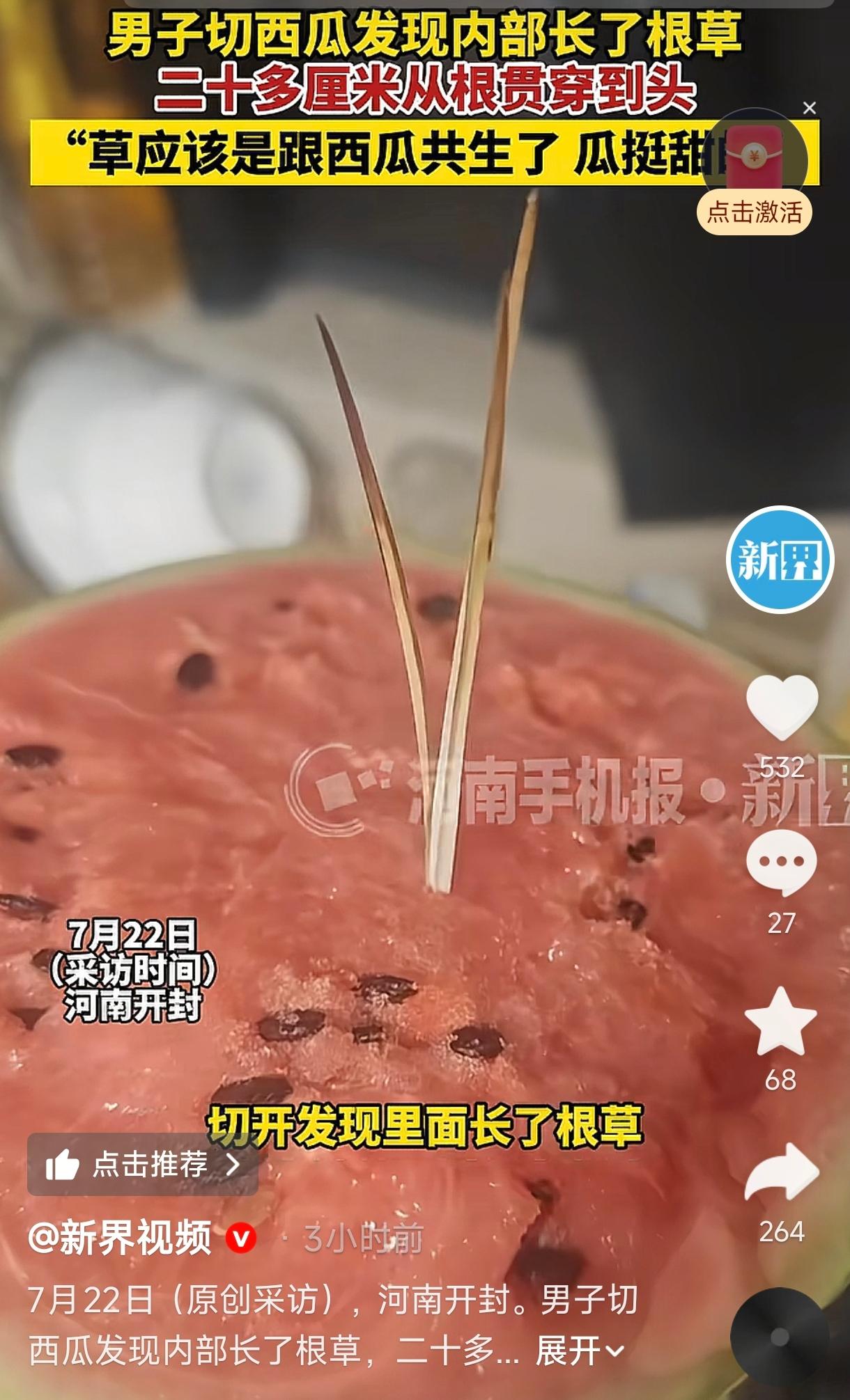 河南开封，一男子高高兴兴抱着一个精挑细选的西瓜回家，结果一刀下去，瓤是红的，但里