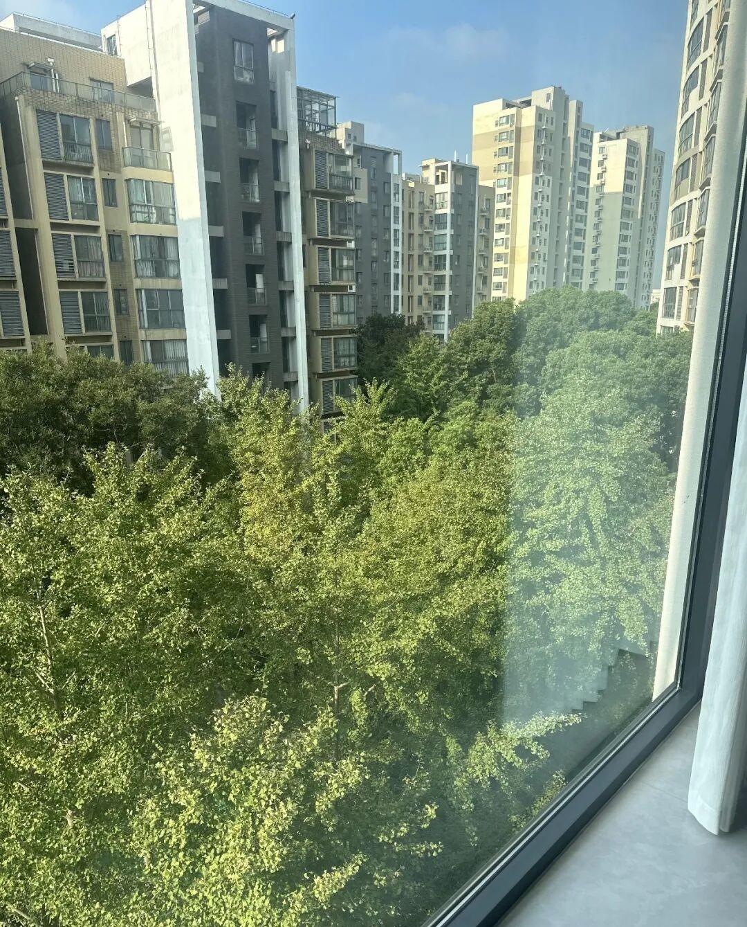 我买房那会儿，售楼员把4楼说成“事业层”，顶楼说成“老板层”，底层说成“养生层”