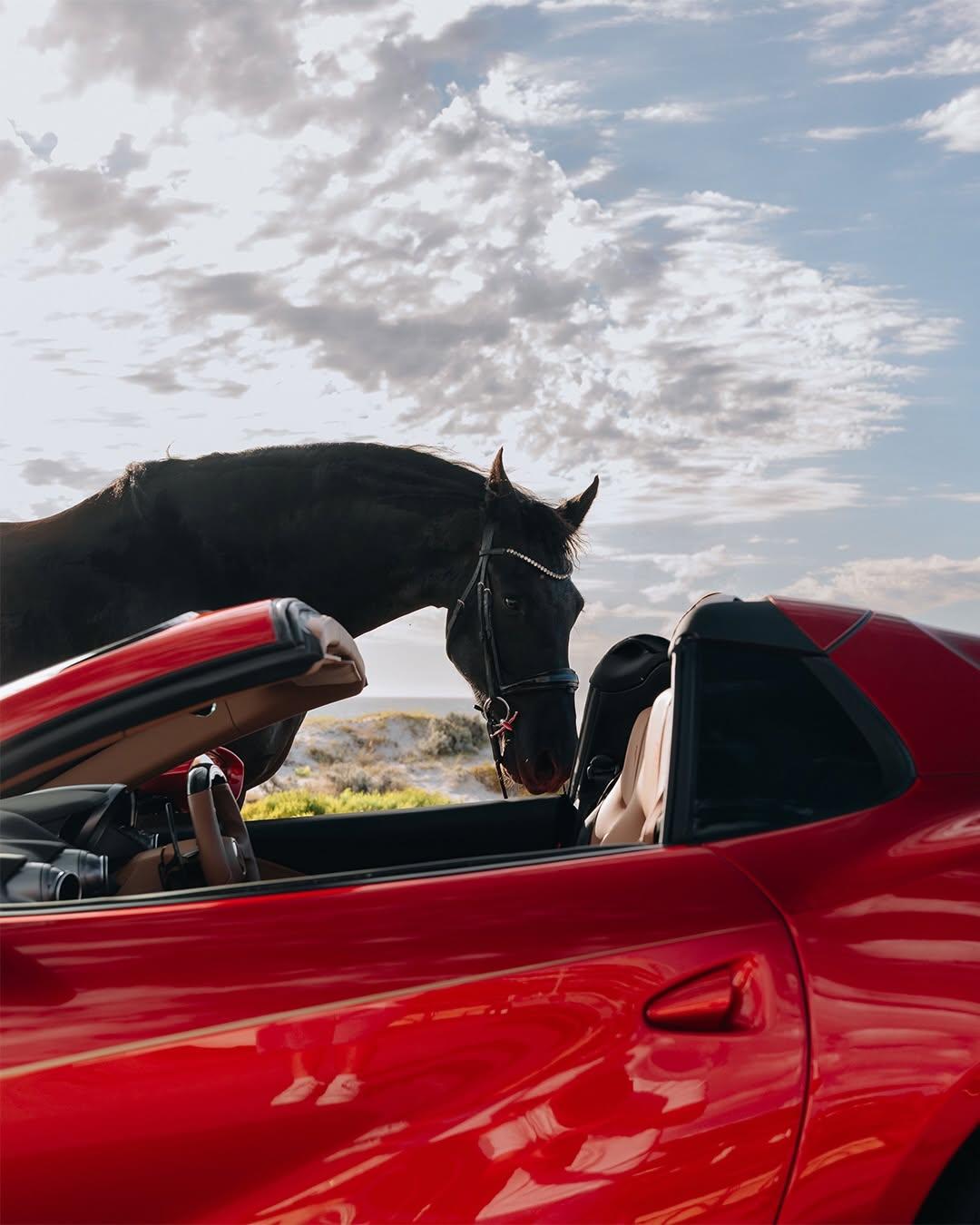 马年开马车，法拉利812Superfast，F12berlinetta继任车型