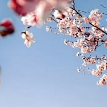 阳光信用阳光信用每日一善与人善，善报也许会迟到，但一定会来。心存善念，念念是