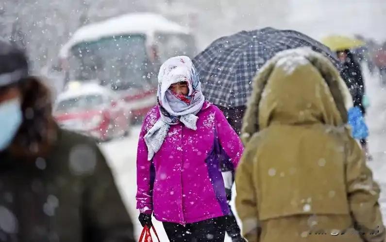 今年冬天雪大不大？冷不冷？答案来了时光匆匆，暑热渐渐褪去，深秋的脚步悄然临