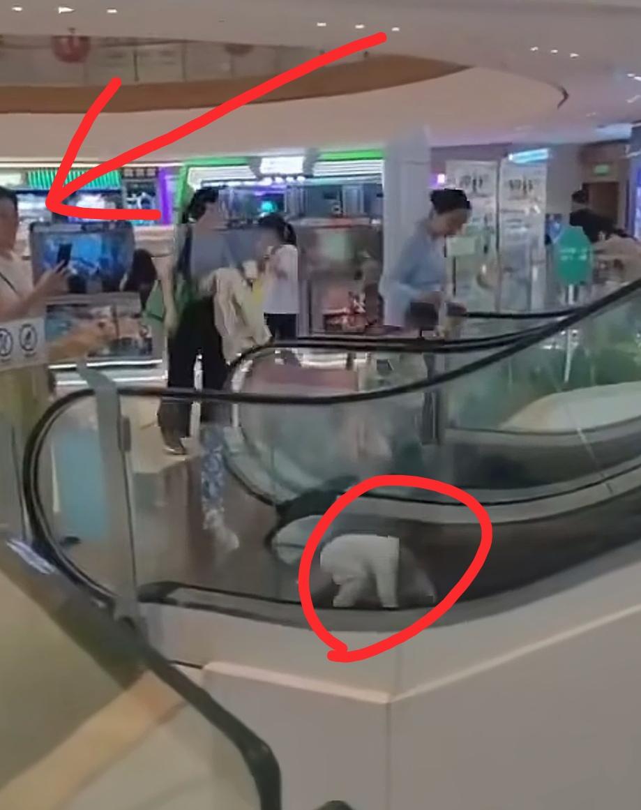 各位男同胞讨老婆不要只看女人颜值，一定要考察下女人的智商，有些低智商女人会不断制