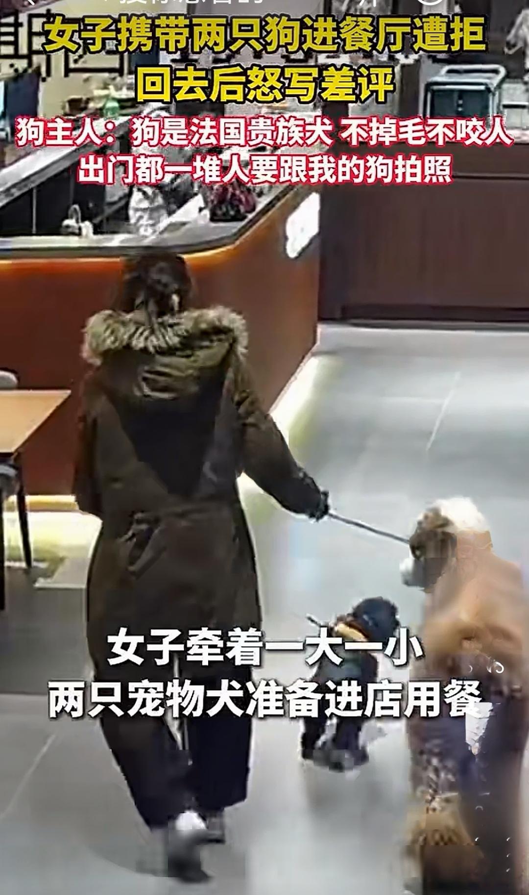 中国出台的养犬管理条例，从未得到认真执行，这正是人犬冲突频发的根本原因。许