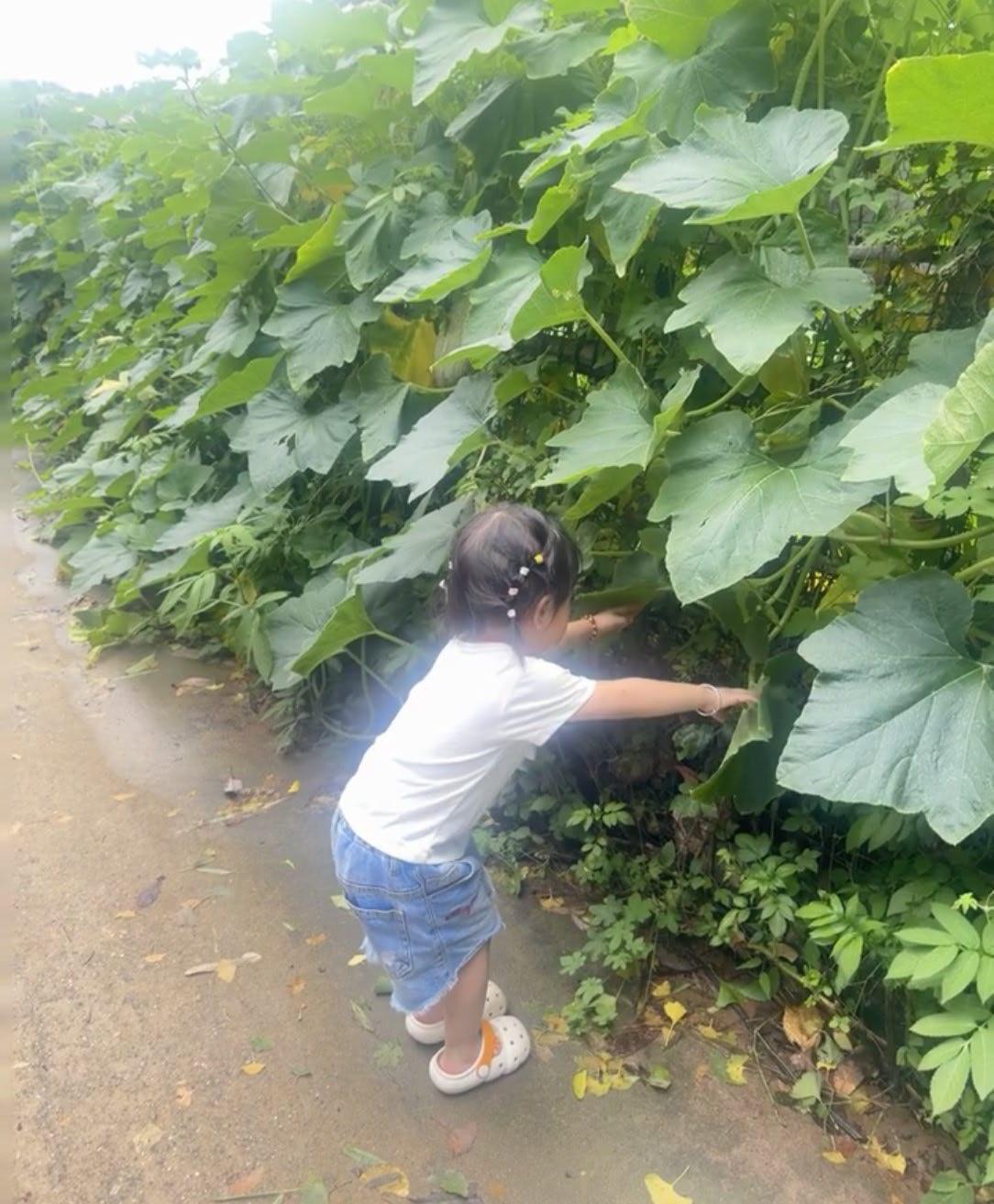 这就是人体的暗能量吗？