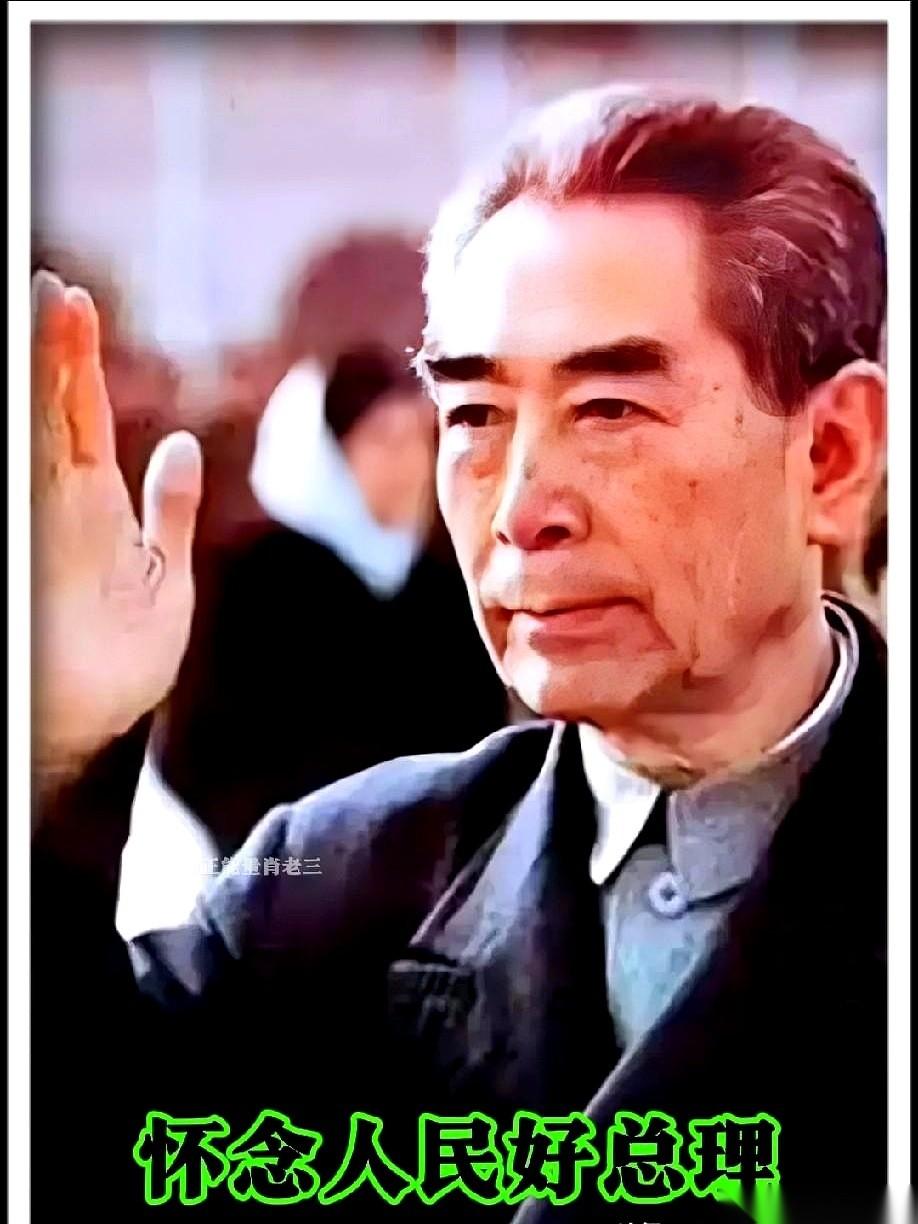 说真的，每次想到陈景润那个事儿，我就觉得后背发麻。一个搞数学的年轻人，关在小屋